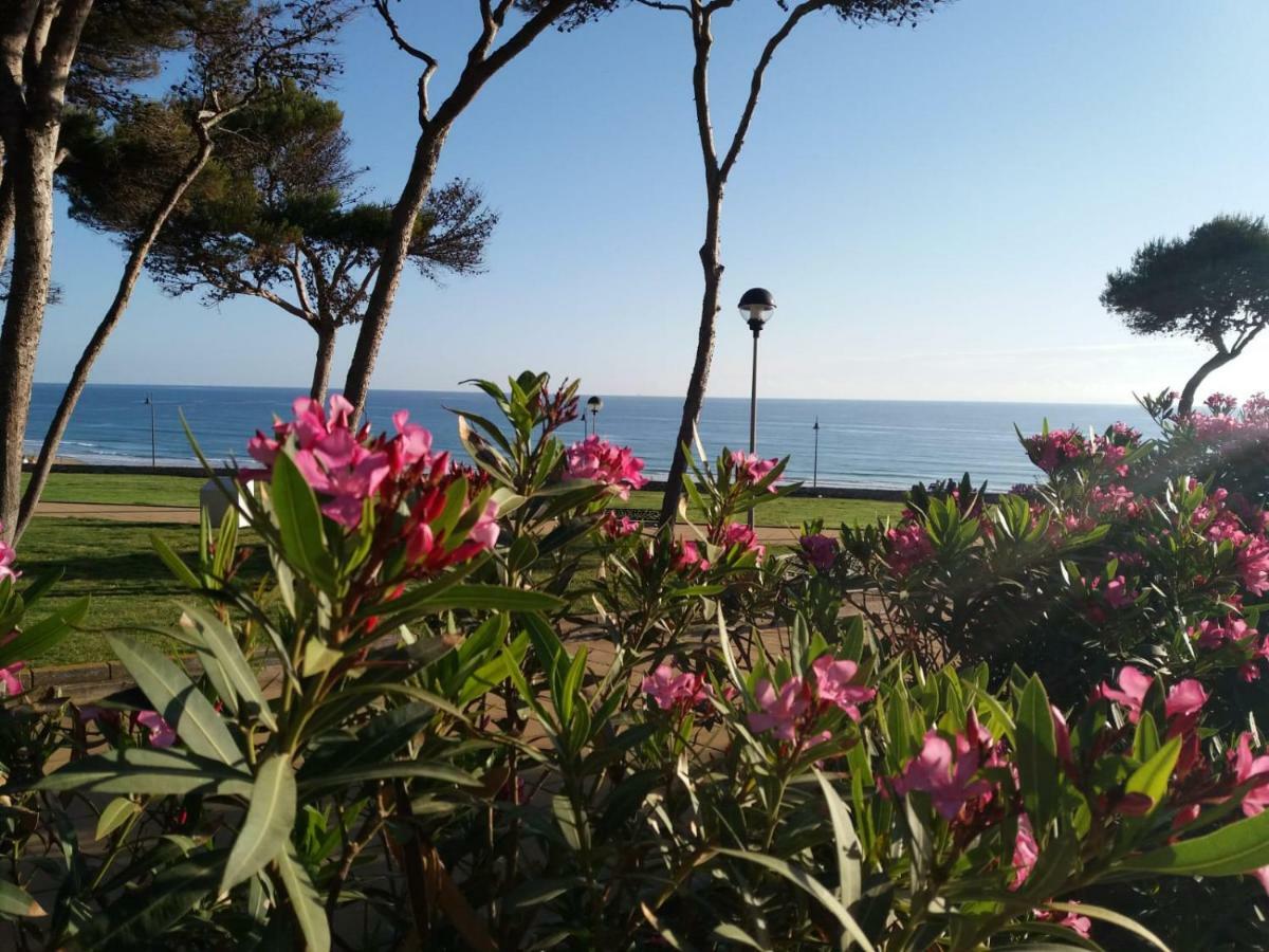Atalaya a pie de playa Villa Conil De La Frontera Dış mekan fotoğraf