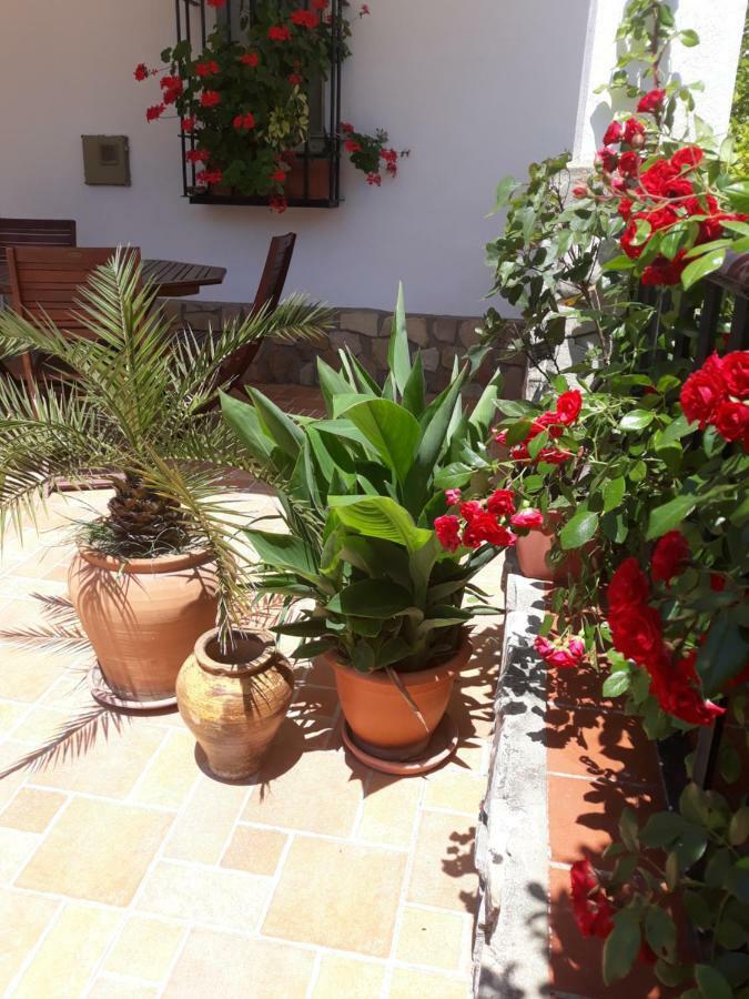 Atalaya a pie de playa Villa Conil De La Frontera Dış mekan fotoğraf
